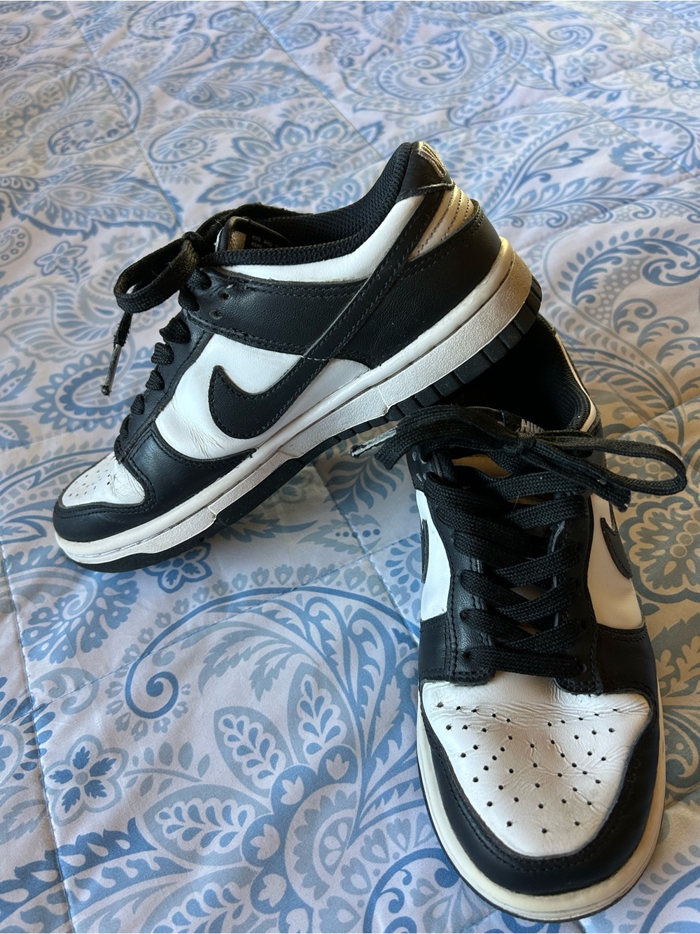 Nike Dunks Low